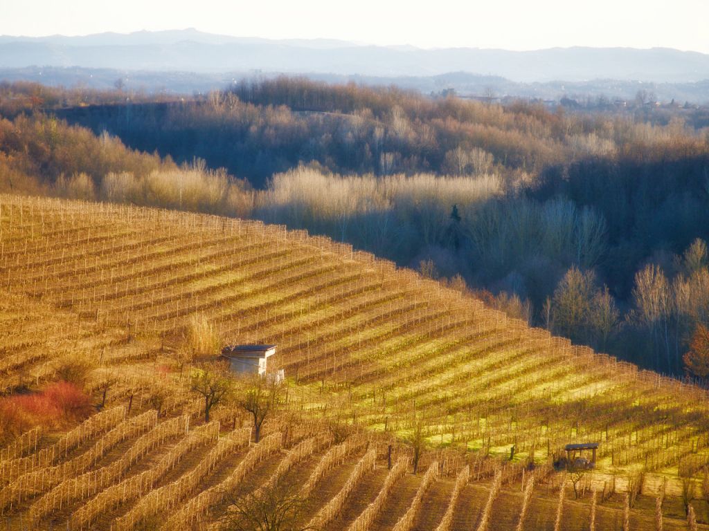 Mostra Filari di Luce Monferrato e Landscape Perception